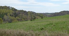 305_TZ60_P1100455_cr