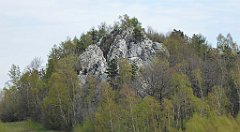 306_TZ60_P1100456_cr