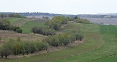 313_TZ60_P1100462_cr