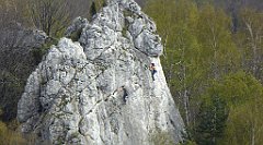 331_TZ60_P1100483_cr