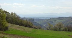 335_TZ60_P1100487_cr