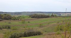 342_TZ60_P1100500_cr