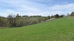 364_TZ60_P1100524_cr