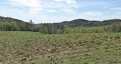 365_TZ60_P1100525_cr