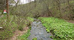 430_TZ60_P1100557_cr