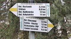 484_TZ60_P1100589_cr