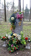 489_TZ60_P1100594_cr