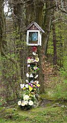 503_TZ60_P1100601_cr