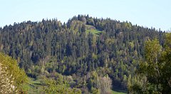 010_TZ60_P1100736_cr