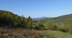 012_TZ60_P1100738_cr