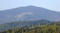 017_TZ60_P1100746_cr