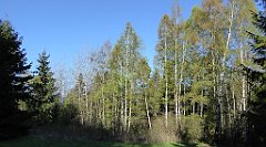 023_TZ60_P1100752_cr