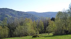 028_TZ60_P1100759_cr