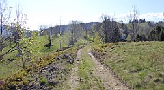 046_TZ60_P1100778_cr