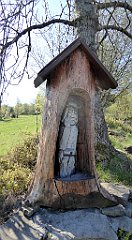 062_TZ60_P1100792_cr