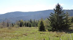 082_TZ60_P1100821_cr