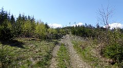 086_TZ60_P1100825_cr