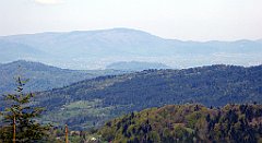 092_TZ60_P1100835_cr