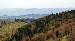 096_TZ60_P1100843_cr