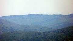 098_TZ60_P1100845_cr