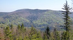 106_TZ60_P1100854_cr