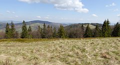 123_TZ60_P1100877_cr