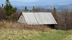 129_TZ60_P1100885_cr