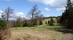 136_TZ60_P1100893_cr