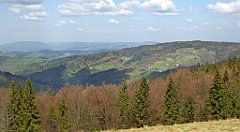 142_TZ60_P1100901_cr