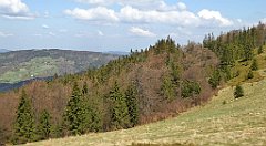 143_TZ60_P1100903_cr