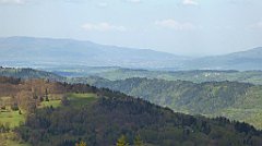 153_TZ60_P1100919_cr