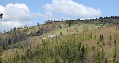 171_TZ60_P1100937_cr