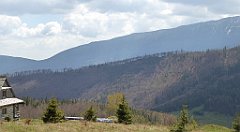 181_TZ60_P1100950_cr