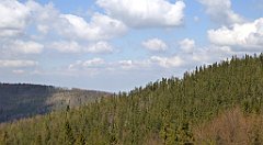 192_TZ60_P1100976_cr