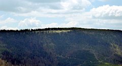 202_TZ60_P1100989_cr