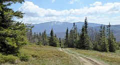 228_TZ60_P1110021_cr