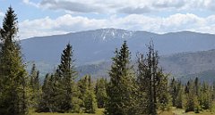 230_TZ60_P1110023_cr