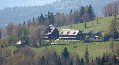 239_TZ60_P1110036_cr