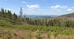 241_TZ60_P1110038_cr