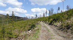 247_TZ60_P1110047_cr