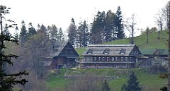 253_TZ60_P1110053_cr