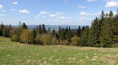 264_TZ60_P1110064_cr