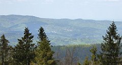 267_TZ60_P1110070_cr