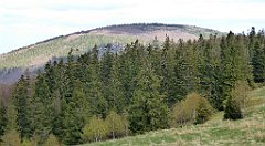 284_TZ60_P1110091_cr