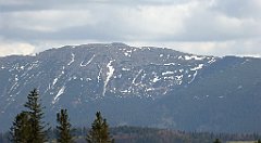 290_TZ60_P1110097_cr