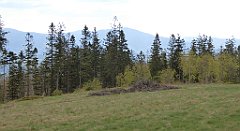 298_TZ60_P1110111_cr