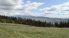 310_TZ60_P1110124_cr