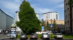 030_TZ60_P1110205_cr