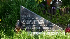 073_TZ60_P1110245_cr