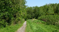 110_TZ60_P1110283_cr